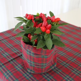 skotsk rutig tygkorg i klassisk lantlig stil för blomman presenttips fyll med bullar