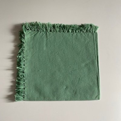 mintgrön servett tygservett grön med fransar